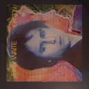 John Waite – LP Record